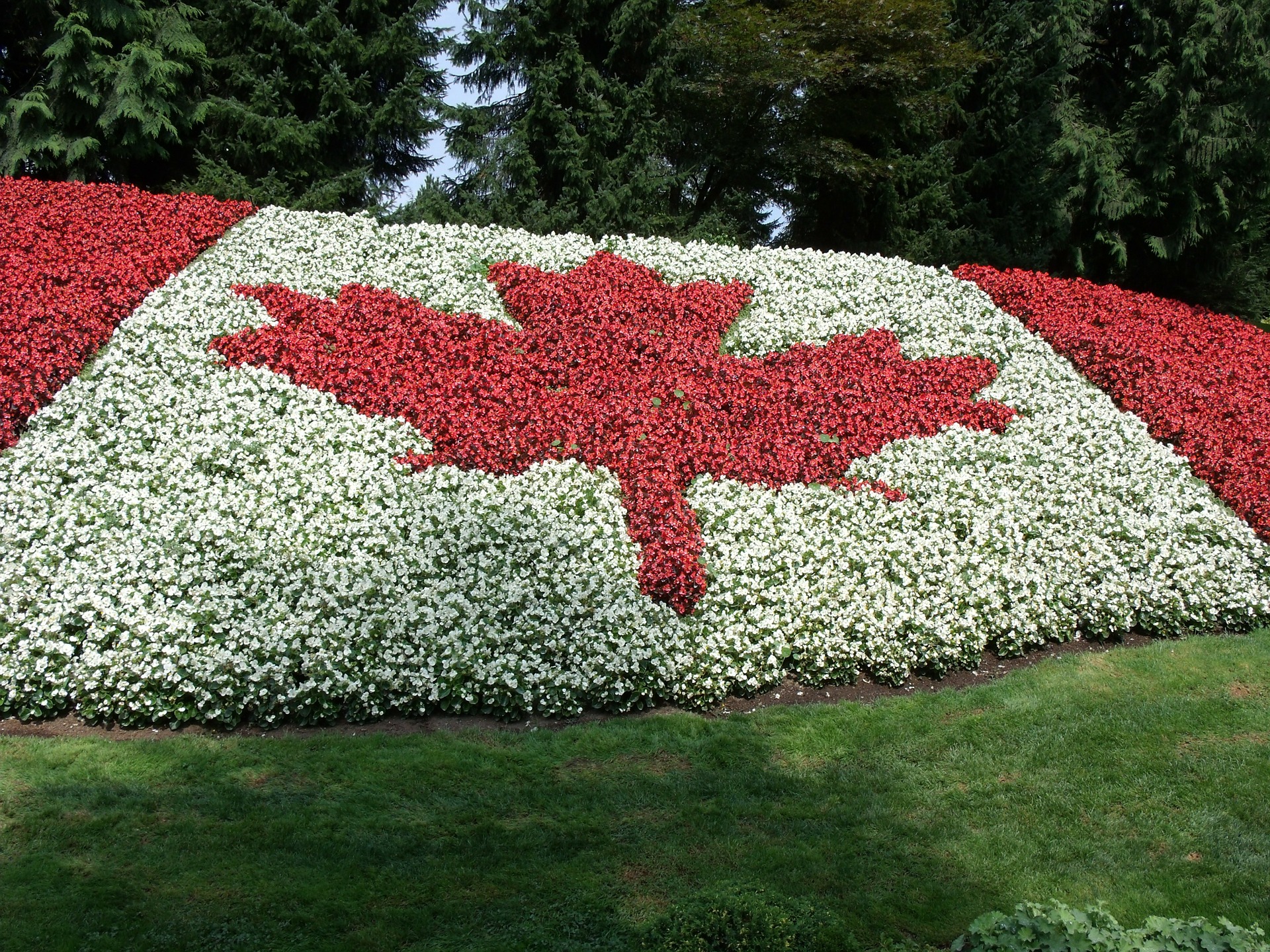 Made in Canada